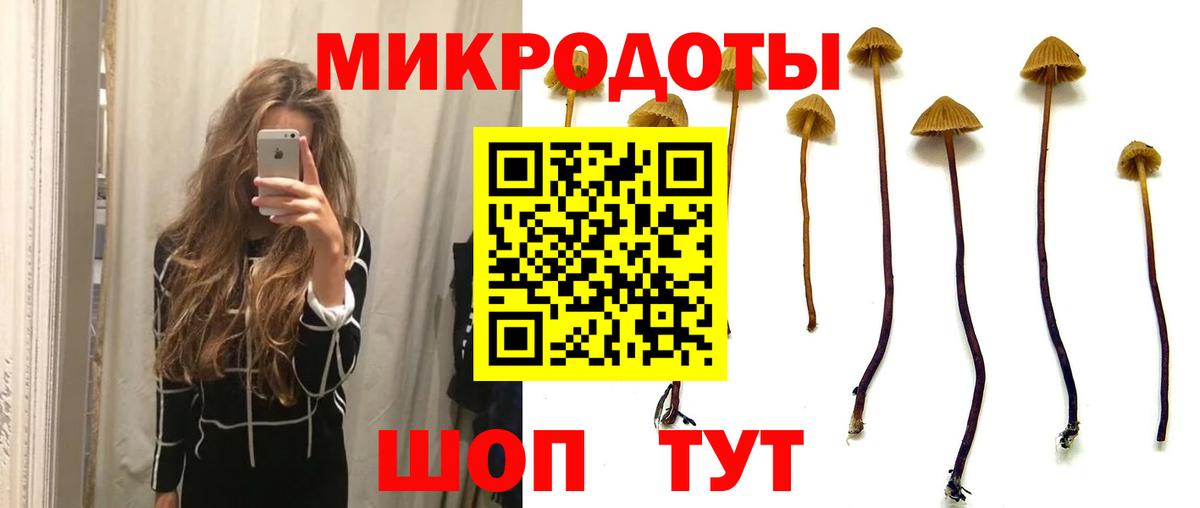 Галлюциногенные грибы Magic Shrooms  Вход с VPN  Гусь-Хрустальный 